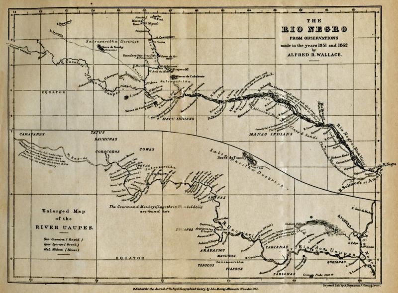 Wallace's map of the Rio Negro river in Brazil published in 1853. Copyright George Beccaloni
