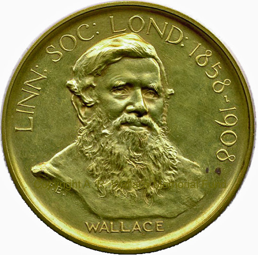 Darwin-Wallace medal of the Linnean Society of London (Wallace side). Copyright A. R. Wallace Memorial Fund.