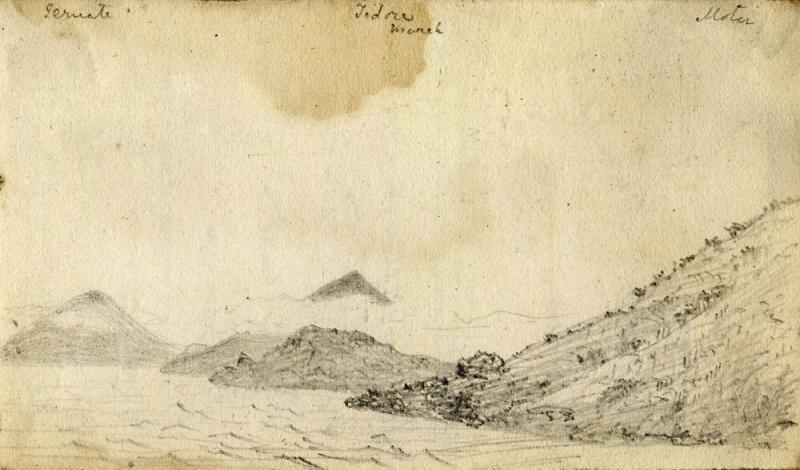 Pencil sketch of Ternate Island (left), Tidore Island (middle) and Morty (?) Island (right) (all in the Moluccas, Indonesia) by Wallace in 18??. Wallace's essay on natural selection was posted from Ternate. Copyright of scan: A. R. Wallace Memorial Fund.