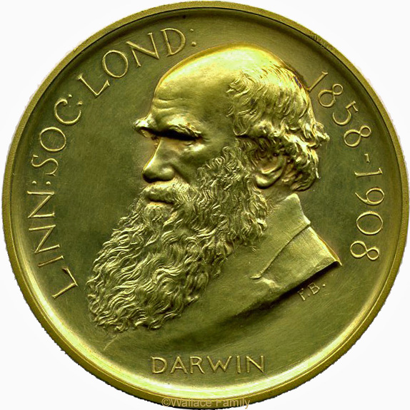Darwin-Wallace Medal. Darwin side.