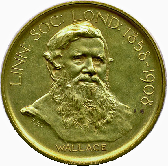 Darwin-Wallace Medal. Wallace side.