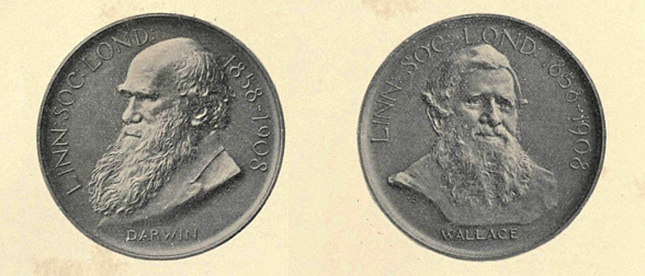 Darwin-Wallace medal