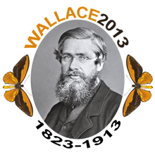WALLACE2013 logo