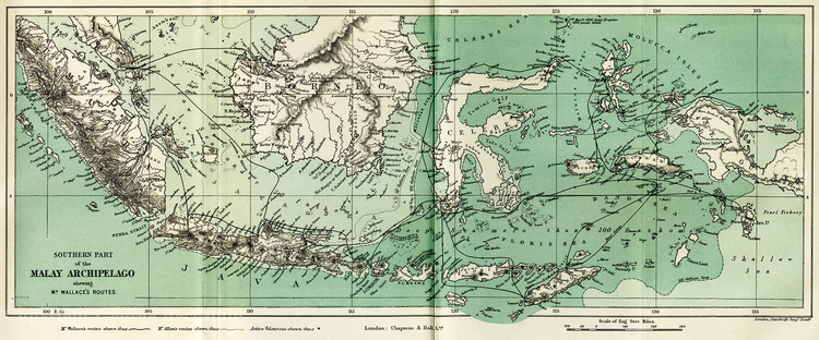 Route of Alfred Russel Wallace's journey (heavy black line) around the Malay Archipelago, from his book 'The Malay Archipelago'. Copyright George Beccaloni