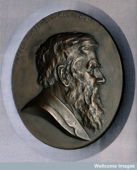 Medallion in Wellcome Library