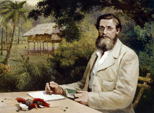 Wallace in the Malay Archipelago. A painting by Evstafieff in the collection of Down House. © English Heritage Photo Library.
