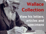 Wallace Collection