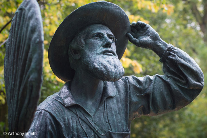 Statue of Alfred Russel Wallace. Copyright Anthony Smith